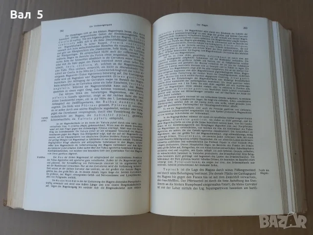 Стар учебник АНАТОМИЯ НА ЧОВЕКА 1935 г - 880 стр . РЯДЪК !!!, снимка 7 - Специализирана литература - 55991969