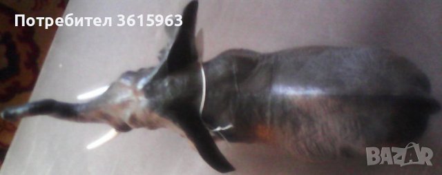 Пластмасов слон, снимка 2 - Фигурки - 39481007