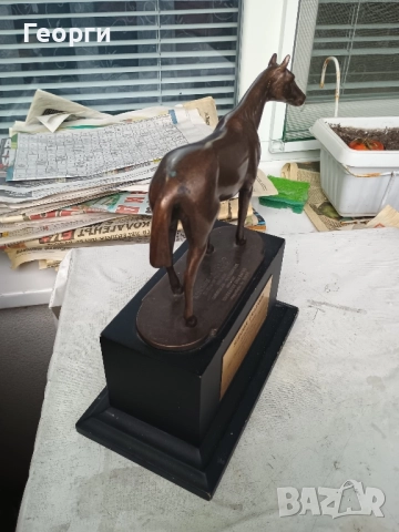 Бронзова награда за конни надбягвания, снимка 12 - Колекции - 52350508