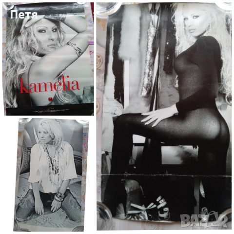 Търся фирмени плакати и календари на Камелия , снимка 4 - Колекции - 44777161