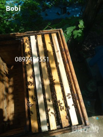 Отводки малки пчелни семейства, снимка 4 - Други животни - 40285876