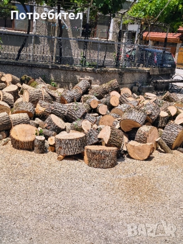 рязане на дърва за огрев и кастрене на дървета