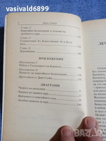 Даян Стейн - Ние сме ангелите , снимка 7 - Езотерика - 54173659