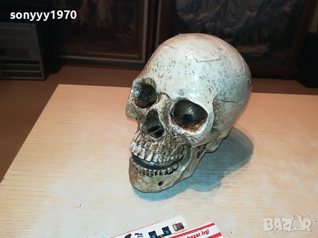 черепа 20х16х14см-антика 0101231028, снимка 6 - Антикварни и старинни предмети - 39153266