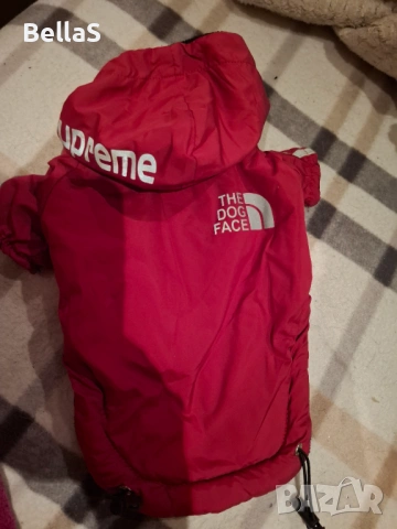 Зимно яке за куче