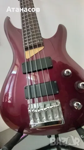 Palmer Vb-05 5 String Electric Bass Guitar, снимка 4 - Китари - 56185179