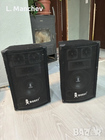 Тонколони Boost 2x300w 