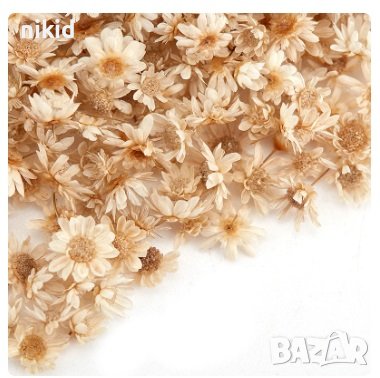 100 бр миниатюрни Сухи сушени цветя декоративни декорация за нокти маникюр бижута и сапун смола, снимка 8 - Изкуствени цветя - 35753203