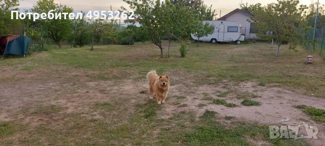 продавам къща варна, снимка 6 - Къщи - 56135083