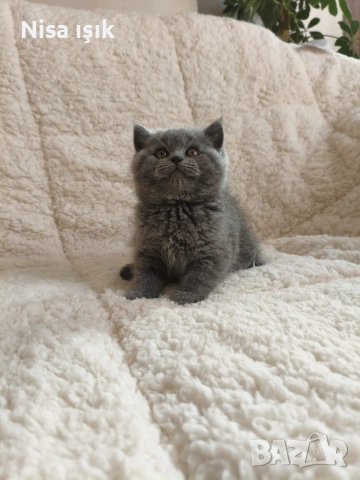 момче не е красив просто е уникален 