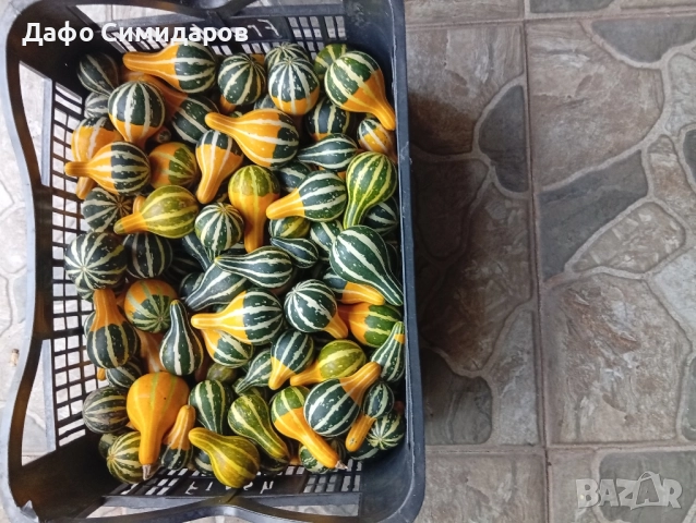 декоративни кратунки 