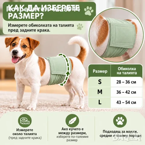 Мъжки кучешки памперс / пояс за куче – многократен, перящ се за кучета маркиращи територия, снимка 2 - За кучета - 56228646