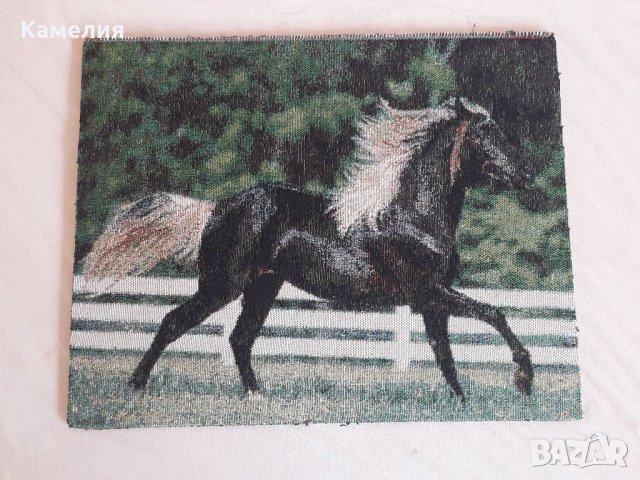 Картина на кон