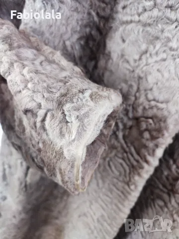 Persian fur coat 3XL/ персийско кожено палто 3 XL, снимка 14 - Якета - 47923874