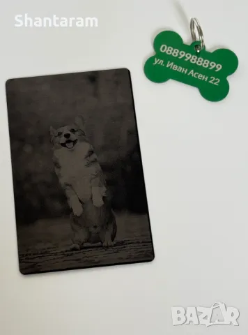 Комплект за домашен любимец – Гравирана снимка върху метална карта + Персонална плочка с име, снимка 2 - Други стоки за животни - 50110141