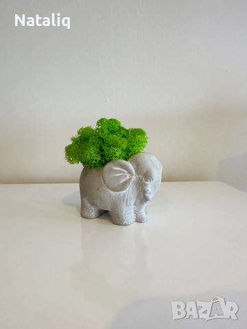 Декорации от скандинавски мъх, снимка 7 - Декорация за дома - 53307440