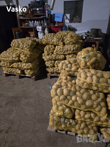 Продавам Картофи , снимка 2 - Други - 51937648