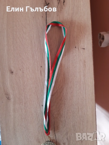 Медал на БФС за III място на Левски от сезон 2016/17 година, снимка 6 - Фен артикули - 53973368