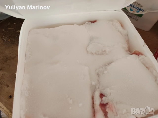 Продавам сланина 10 лева килограма имам 5 кофи по 8-10 килограма , снимка 2 - За селскостопански - 52923509