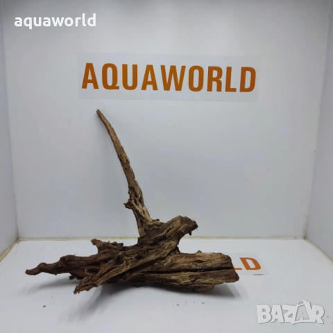 Мангров корен 3