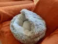 Котешко/кучешко легло, снимка 3