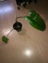 Philodendron Paraiso Verde , снимка 2