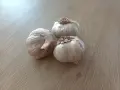 Домашен черен чесън, снимка 2