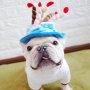Кучешка шапка за рожден ден Шапка за рожден ден на домашен любимец Шапки за кучешки рожден ден, снимка 5