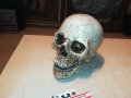 черепа 20х16х14см-антика 0101231028, снимка 6