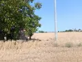 Земя град Съединение , снимка 2
