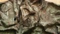 CHEVALIER Mosquito Camo Anorak размер 2XL - 3XL за лов тънко яке с мрежа на качулката - 242, снимка 13