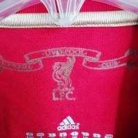 Liverpool Fernando Torres Adidas оригинална детска тениска фланелка Ливърпул Торес , снимка 7 - Детски Блузи и туники - 38918370