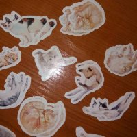 стикерчета котка котки стикери лепенки, снимка 1 - Ученически пособия, канцеларски материали - 29901770