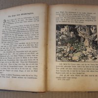 Много стара детска книжка , приказки - Германия, снимка 5 - Художествена литература - 42368918