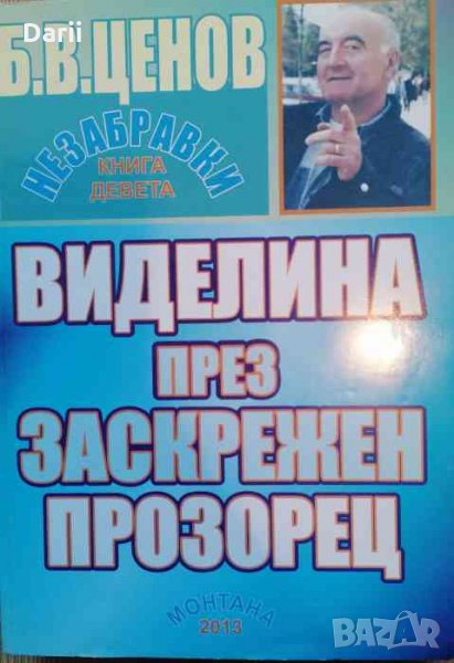 Виделина през заскрежен прозорец, снимка 1