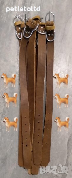 Каишка за куче 60 СМ Х 3 СМ, снимка 1