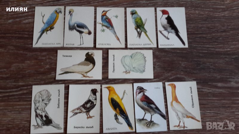 Стари календари на птици 15лв за всички , снимка 1