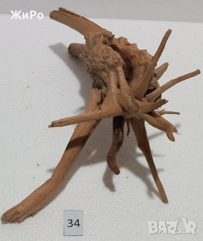 Корен от Азалия /декорация/ 34, снимка 5 - Други - 54093499