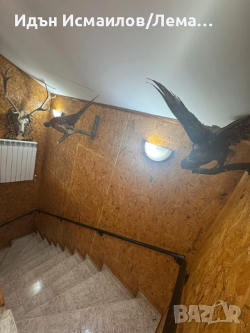 Продажба,къща,с.Алваново, снимка 8 - Къщи - 54346870