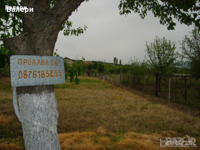 Продавам УПИ-с. Мурсалево-обл.Кюстендил., снимка 7 - Парцели - 30021733
