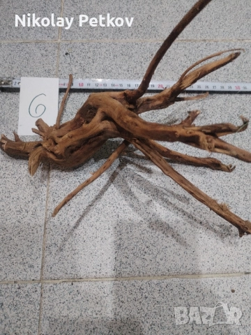 Корени за аквариум, терариум, паладиум , снимка 6 - Аквариуми - 44083269