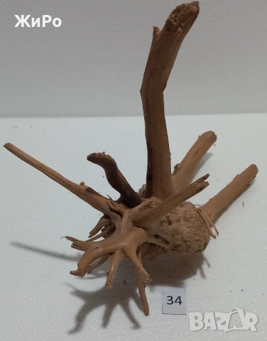 Корен от Азалия /декорация/ 34, снимка 3 - Други - 54093499