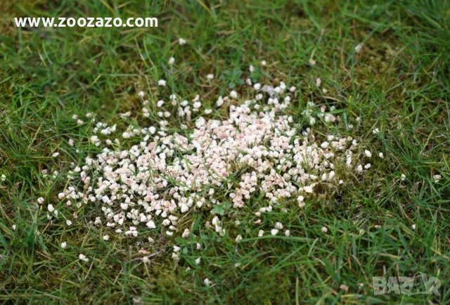 Репелентни гранули срещу кучета и котки, опаковка 2 х 200 гр. - KERBL - Модел: 80106, снимка 6 - Други стоки за животни - 49386399