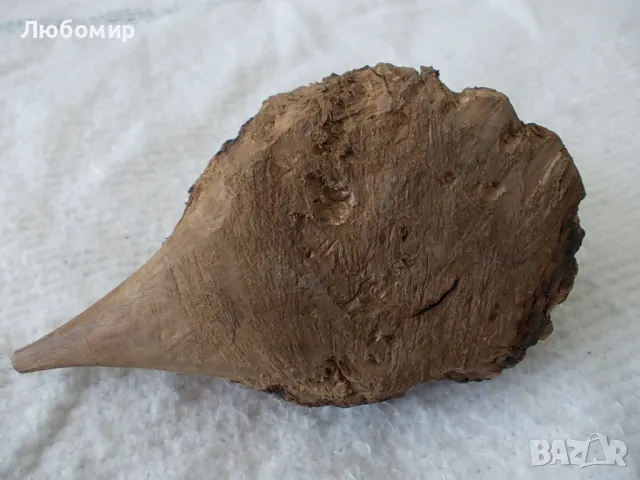 Семейство таралежи - от природата, снимка 5 - Колекции - 47343035