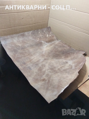 Стара Телешка Кожа 2.400кг. Дебелина 4.5мм. НОМЕР 1709., снимка 2 - Антикварни и старинни предмети - 53939919