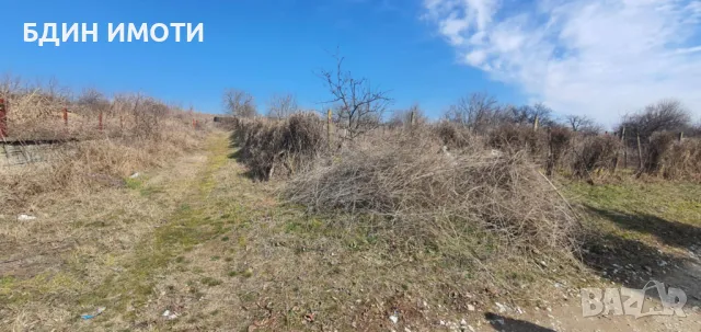 Продавам празен парцел в с. Неговановци обл. Видин, снимка 3 - Парцели - 50138638