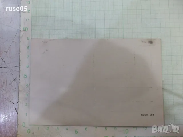 Снимка стара на две жени в носии до каруцата - 1, снимка 2 - Колекции - 48016647