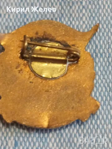 Рядка значка от соца емайлирана ОТЛИЧНИК МИНИСТЕРСТВО на ЗДРАВЕОПАЗВАНЕТО за КОЛЕКЦИОНЕРИ 47760, снимка 7 - Колекции - 47861615