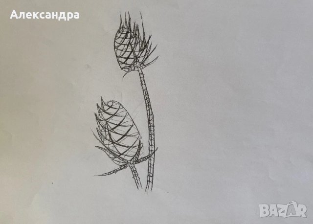 Скици 20 броя, снимка 11 - Картини - 50876142