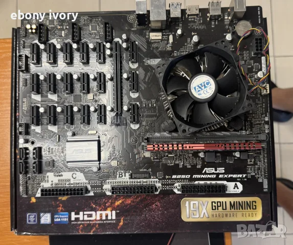 дъно asus b250 minnig expert + процесор Pentiun + 4bg RAM 